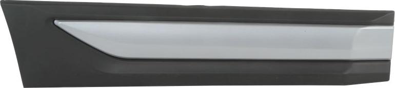 BLIC 5703-04-3753574P - Elemente decorative / protectie, portiera aaoparts.ro
