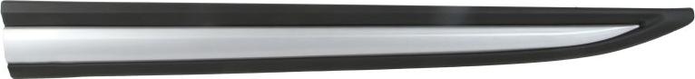 BLIC 5703-04-3753571P - Elemente decorative / protectie, portiera aaoparts.ro