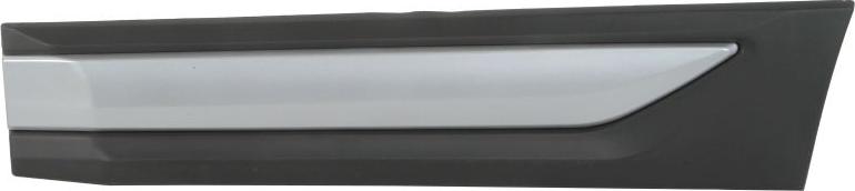 BLIC 5703-04-3753573P - Elemente decorative / protectie, portiera aaoparts.ro