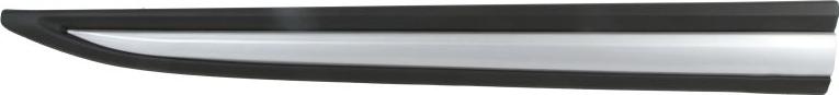 BLIC 5703-04-3753572P - Elemente decorative / protectie, portiera aaoparts.ro
