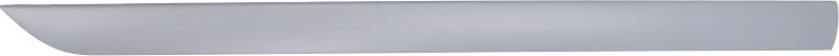 BLIC 5703-04-2532575P - Elemente decorative / protectie, aripa aaoparts.ro