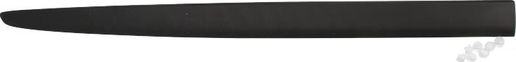 BLIC 5703-04-2027572PP - Elemente decorative / protectie, aripa aaoparts.ro