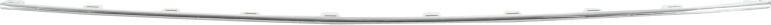 BLIC 5703-05-9569921P - Grila ventilatie, bara protectie aaoparts.ro
