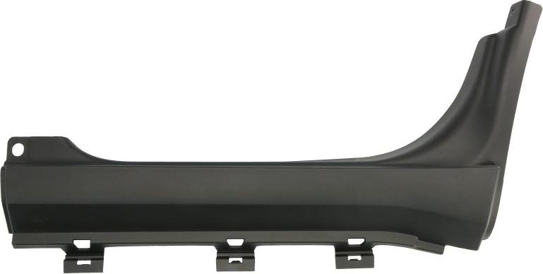 BLIC 5703-06-3082574P - Elemente decorative / protectie, portiera aaoparts.ro