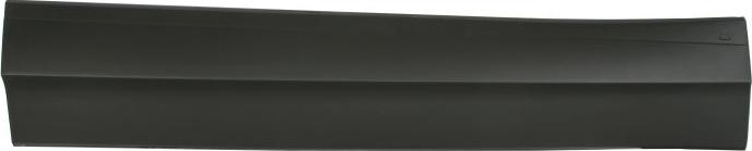BLIC 5703-02-9588971P - Elemente decorative / protectie, portiera aaoparts.ro
