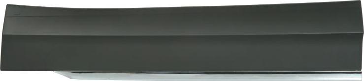 BLIC 5703-02-9588972P - Elemente decorative / protectie, portiera aaoparts.ro