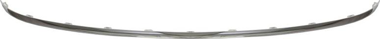 BLIC 5703-11-0051971P - Banda de protectie, bara de protectie aaoparts.ro