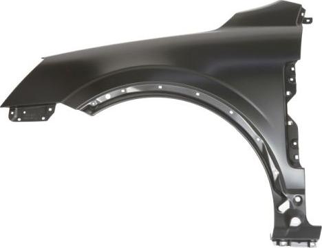 BLIC 6504-04-5099311P - Aripa aaoparts.ro