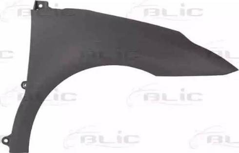 BLIC 6504-04-0537312P - Aripa aaoparts.ro