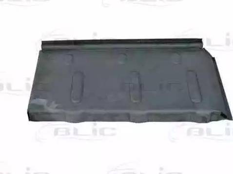 BLIC 6505-06-3545042P - Podea aaoparts.ro