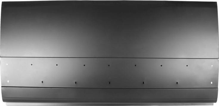 BLIC 6505-06-2097011K - Panou lateral aaoparts.ro