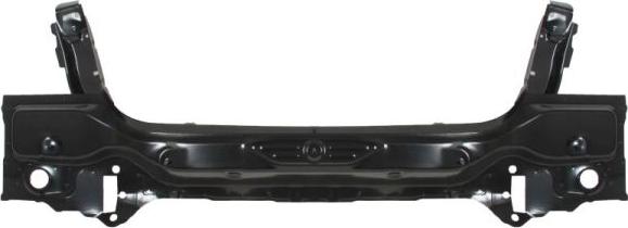 BLIC 6503-05-0068650P - Panou spate aaoparts.ro