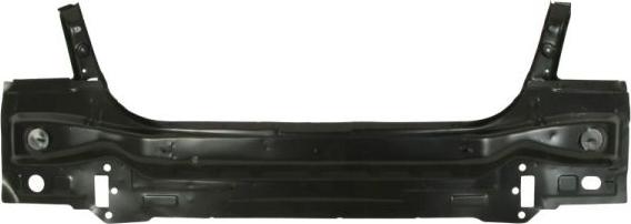 BLIC 6503-05-0067651P - Panou spate aaoparts.ro