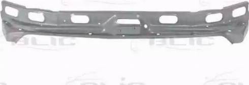 BLIC 6503-05-2530650P - Panou spate aaoparts.ro