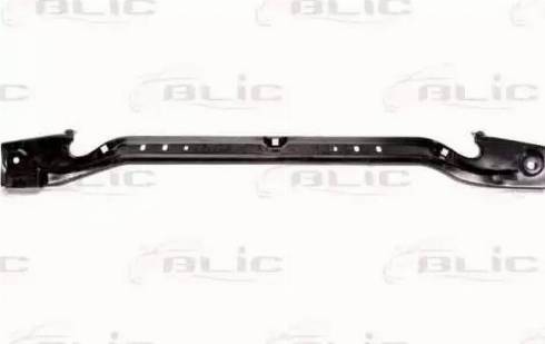 BLIC 6502-03-5049230P - Acoperire fata aaoparts.ro