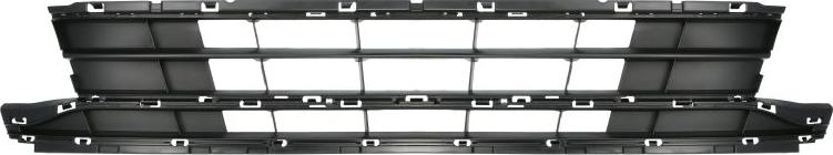 BLIC 6502-07-9549919P - Grila ventilatie, bara protectie aaoparts.ro