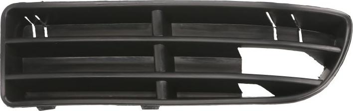 BLIC 6502-07-9543997P - Grila ventilatie, bara protectie aaoparts.ro