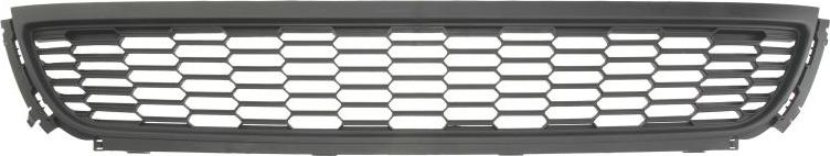 BLIC 6502-07-9507994Q - Grila ventilatie, bara protectie aaoparts.ro