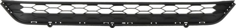 BLIC 6502-07-9588913P - Grila ventilatie, bara protectie aaoparts.ro