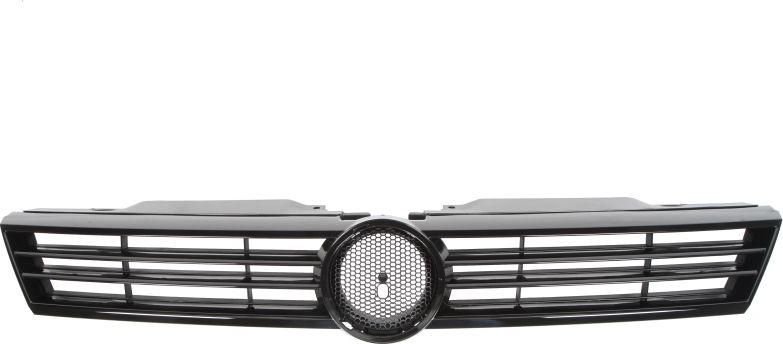 BLIC 6502-07-9535991P - Grila radiator aaoparts.ro