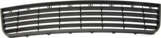 BLIC 6502-07-9524994P - Grila ventilatie, bara protectie aaoparts.ro