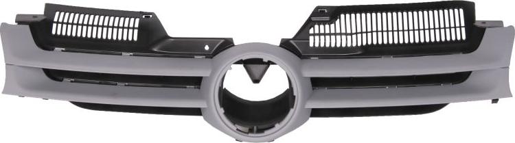 BLIC 6502-07-9524990P - Grila radiator aaoparts.ro