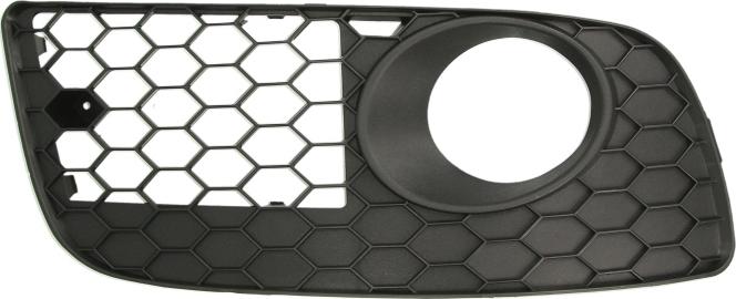 BLIC 6502-07-9524914P - Grila ventilatie, bara protectie aaoparts.ro