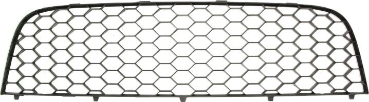 BLIC 6502-07-9524915P - Grila ventilatie, bara protectie aaoparts.ro