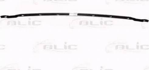 BLIC 6502-07-9521210P - Acoperire fata aaoparts.ro