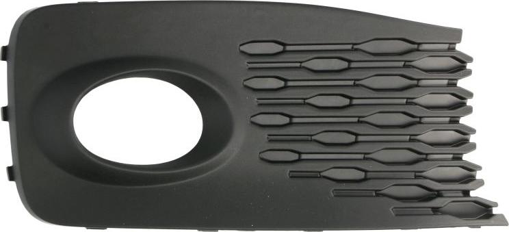 BLIC 6502-07-9576914P - Grila ventilatie, bara protectie aaoparts.ro
