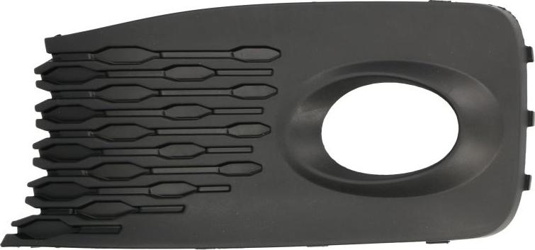 BLIC 6502-07-9576913P - Grila ventilatie, bara protectie aaoparts.ro