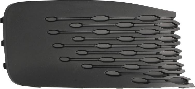 BLIC 6502-07-9576912P - Grila ventilatie, bara protectie aaoparts.ro