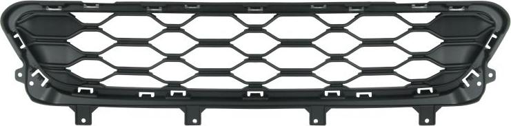 BLIC 6502-07-4004914PP - Grila ventilatie, bara protectie aaoparts.ro
