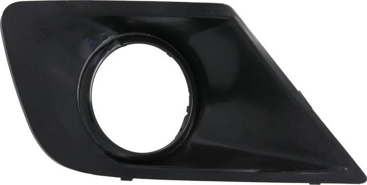 BLIC 6502-07-5508999P - Grila ventilatie, bara protectie aaoparts.ro