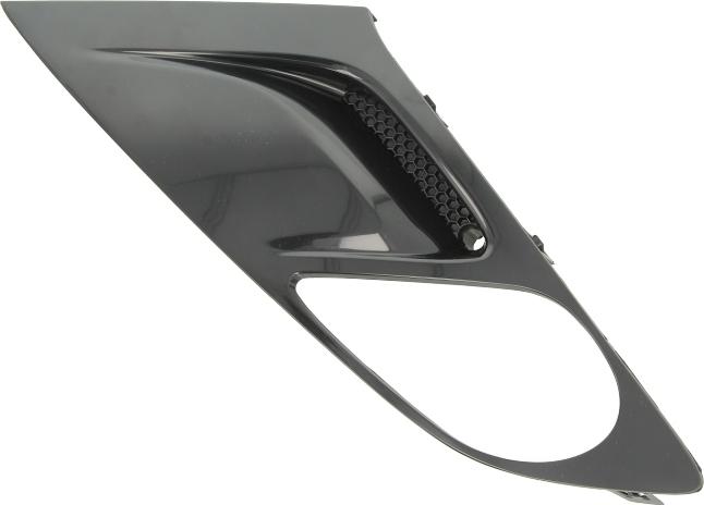 BLIC 6502-07-5064917P - Grila ventilatie, bara protectie aaoparts.ro