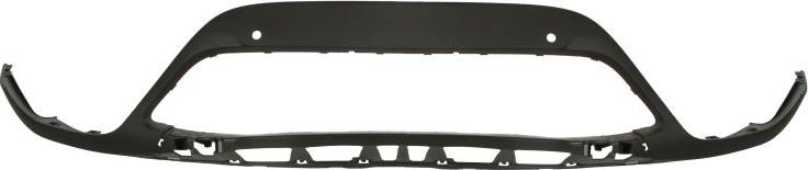 BLIC 6502-07-5079991P - Banda de protectie, grila radiator aaoparts.ro