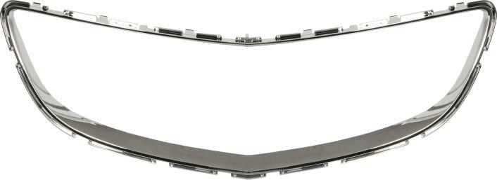 BLIC 6502-07-5079997P - Banda de protectie, grila radiator aaoparts.ro