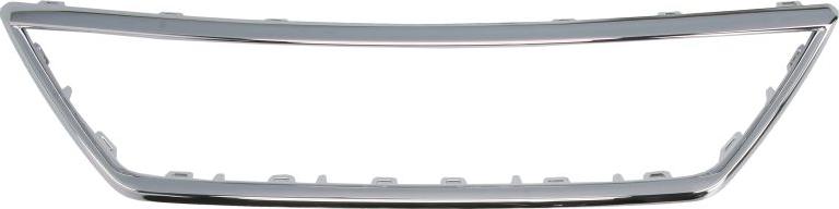 BLIC 6502-07-6619990P - Banda de protectie, grila radiator aaoparts.ro