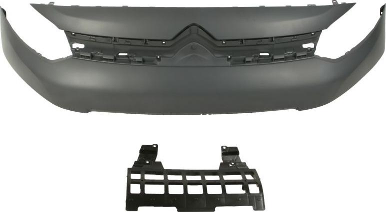 BLIC 6502-07-0559990P - Grila radiator aaoparts.ro