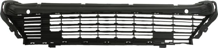 BLIC 6502-07-0554912Q - Grila ventilatie, bara protectie aaoparts.ro