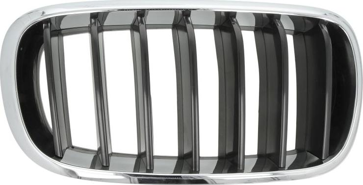 BLIC 6502-07-00969922P - Grila radiator aaoparts.ro