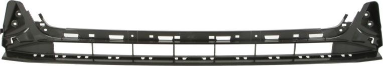 BLIC 6502-07-0043921P - Grila ventilatie, bara protectie aaoparts.ro