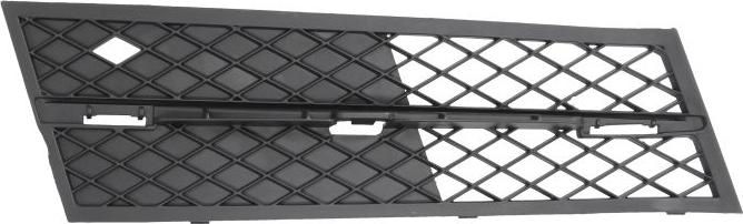 BLIC 6502-07-0067918P - Grila ventilatie, bara protectie aaoparts.ro