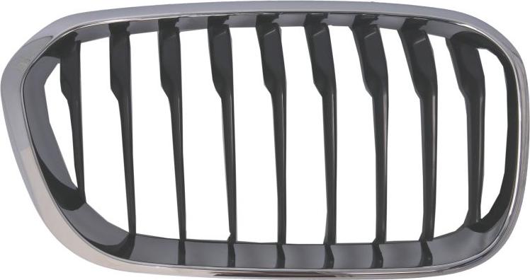 BLIC 6502-07-0086998CP - Grila radiator aaoparts.ro