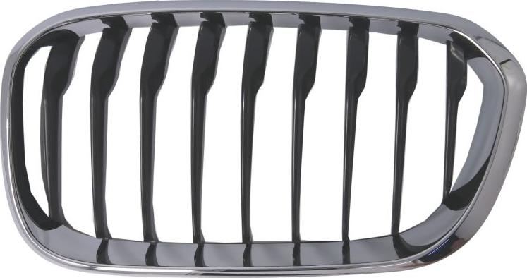 BLIC 6502-07-0086997CP - Grila radiator aaoparts.ro