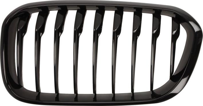 BLIC 6502-07-0086997P - Grila radiator aaoparts.ro