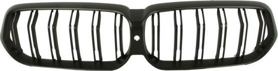 BLIC 6502-07-0078917P - Grila radiator aaoparts.ro