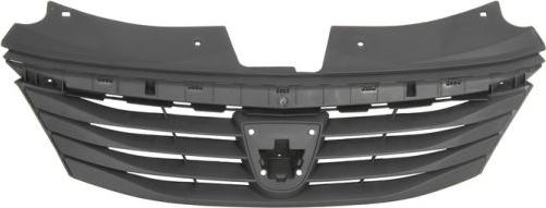 BLIC 6502-07-1301990P - Grila radiator aaoparts.ro