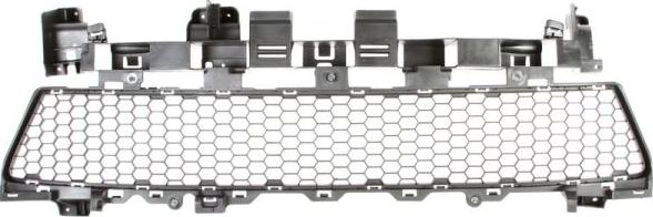 BLIC 6502-07-1303910P - Grila ventilatie, bara protectie aaoparts.ro