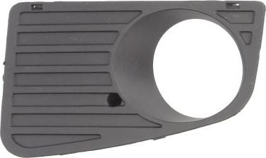 BLIC 6502-07-3548919P - Grila ventilatie, bara protectie aaoparts.ro